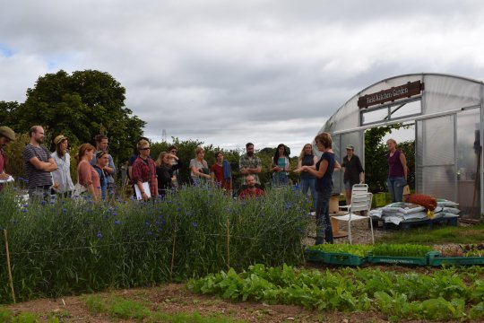 Soil Association Future Growers Scheme at Riverford Wash Farm, Devon